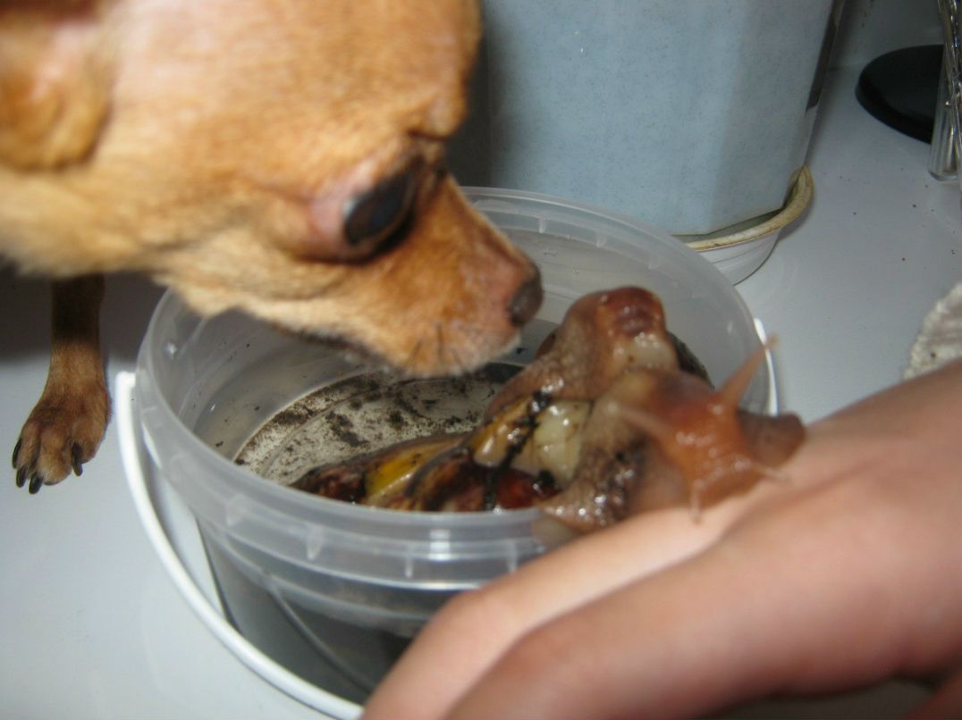 Наталья Загуляева | 