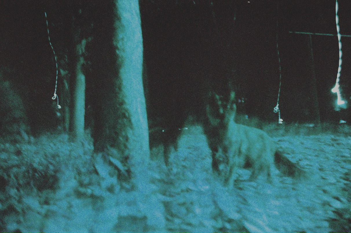 Маркета Лазарова | 