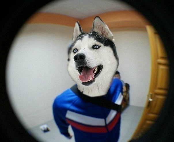 Alexey Dylan Ae-e | Санкт-Петербург