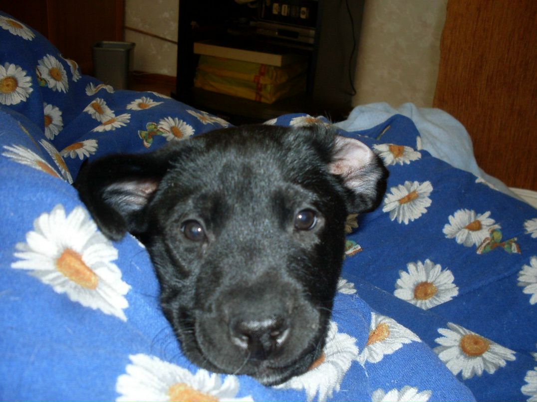 Диана Оренко | Киев