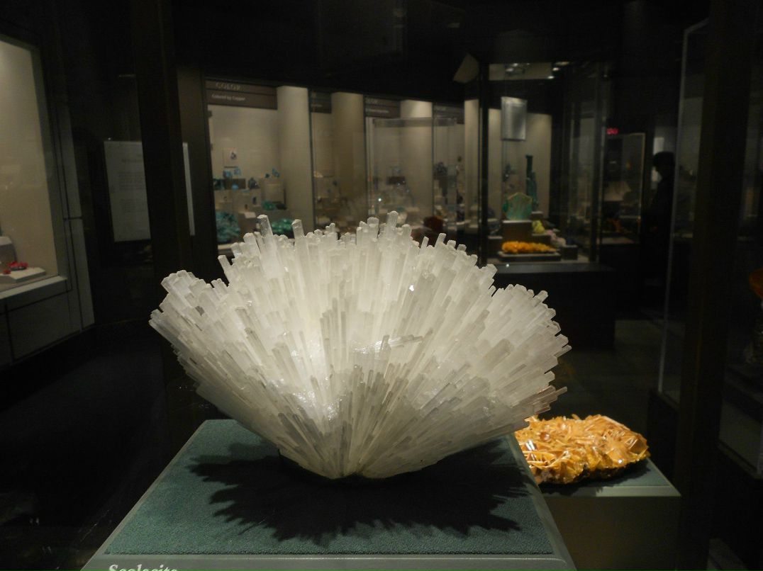 Olga Azorkina | Дмитров