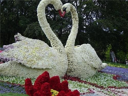 Галина Ищук | Бердичев