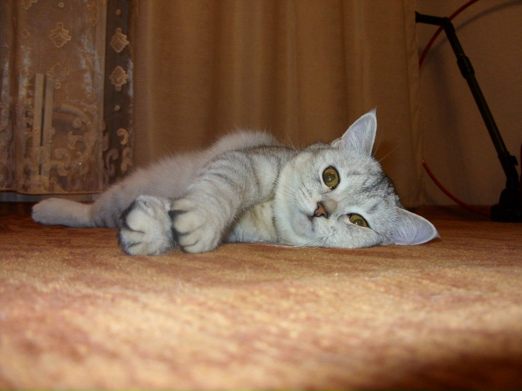 Екатерина Чеботаева | Кирово-Чепецк