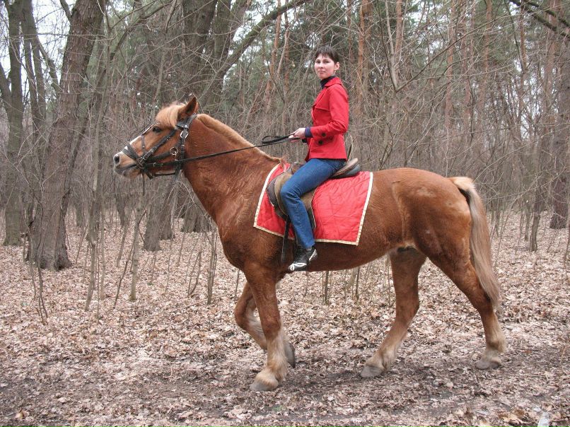 Евгения Жилкова | Харьков