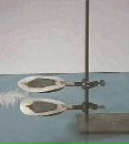Фотография Максим Болдырев