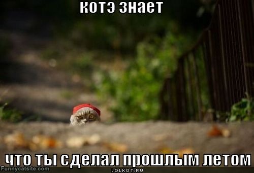 №85, Катерина Моросина, 43 года, Москва №85, Катерина Моросина, 43 года, Москва