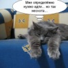 Аватар: Илья Зубков
