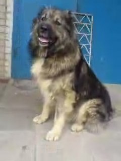 Константин Молчанов | Екатеринбург