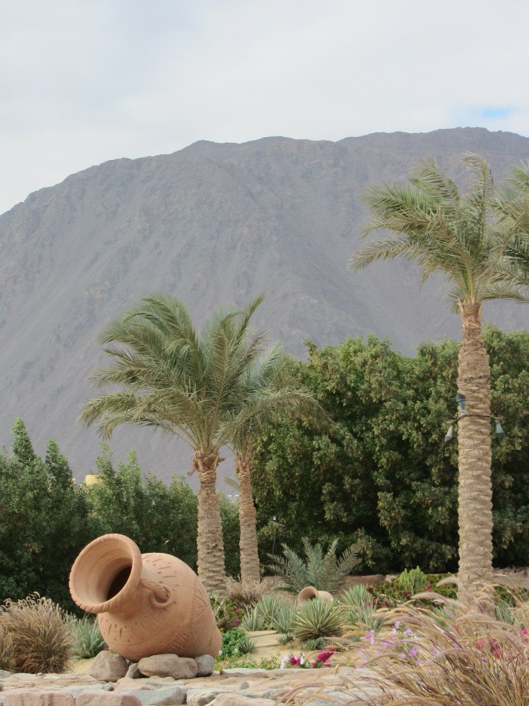 Валентина Полищук | Днепр (Днепропетровск)