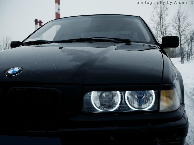 Сорин Скипор | Черновцы