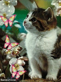 №2, Галина Ложкина №2, Галина Ложкина