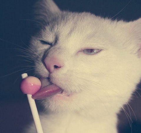 Александр Белоусов white | Екатеринбург