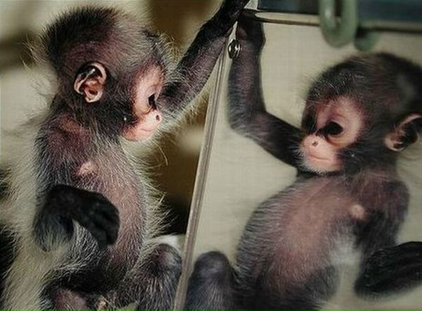 №15, Алеся Заяц, Минск №15, Алеся Заяц, Минск