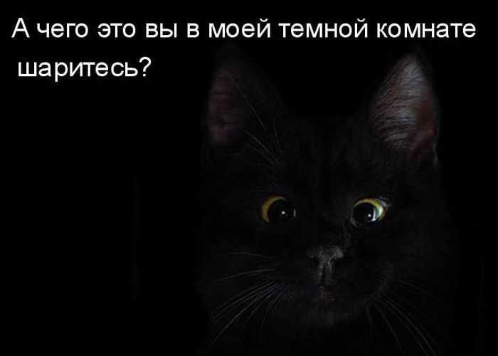 Дмитрий Ярославский | Москва