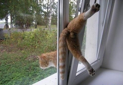 №2, Никита Полищук №2, Никита Полищук