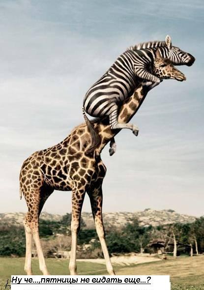 Антон Поташев | Berlin