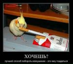 Фотография Валера Гончаров