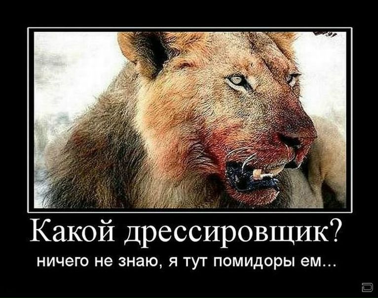 №71, Святослав Юхнович, Тернополь №71, Святослав Юхнович, Тернополь