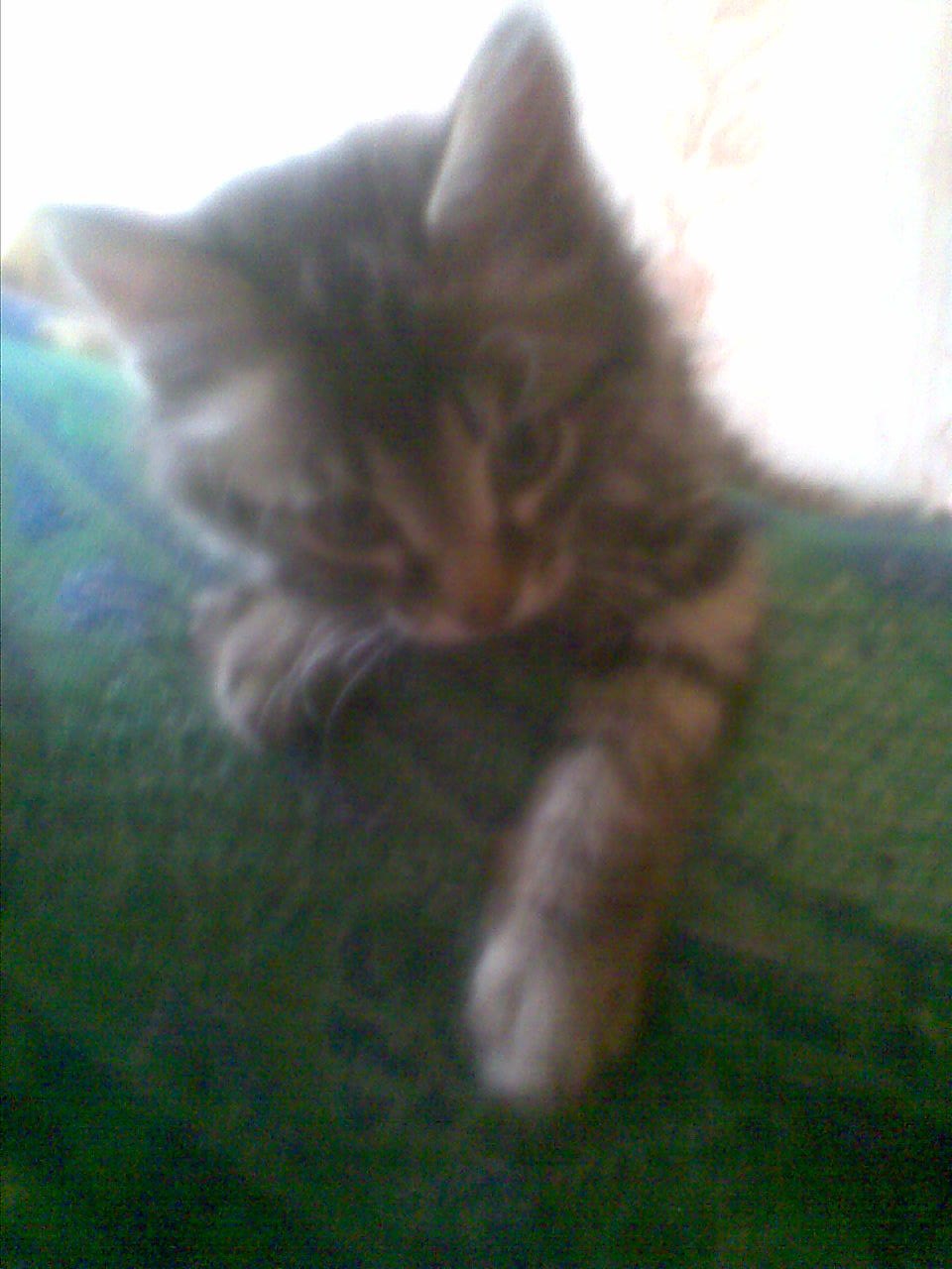 Валентина Иванова | Улан-Удэ