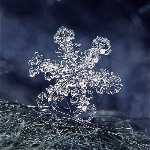 №19, Павел Чирков №19, Павел Чирков