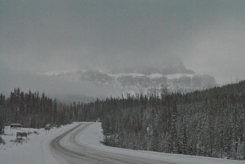 Андрей Олейник | 