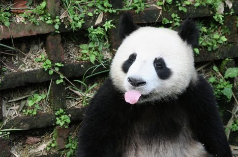 Наталья Борцова | Москва