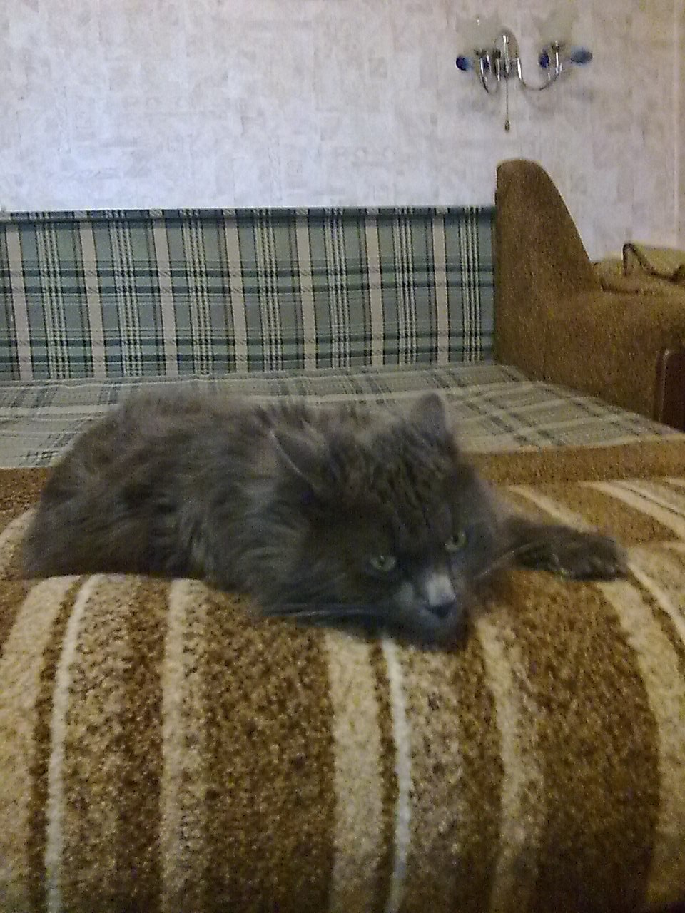 Сергей Фёдоров | Великий Новгород