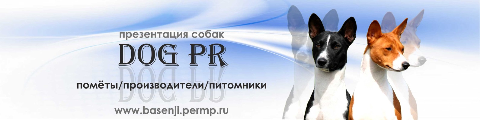 Презентация собак Dog PR | Графический дизайн для заводчиков и ...