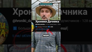 Любой черенок даст корни за сутки! #огород #сад #дача