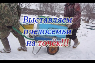 Весенняя выставка пчелосемей на точёк, когда и как мы это делаем от А до Я