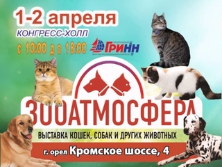 СуперКэтс - выставки кошек