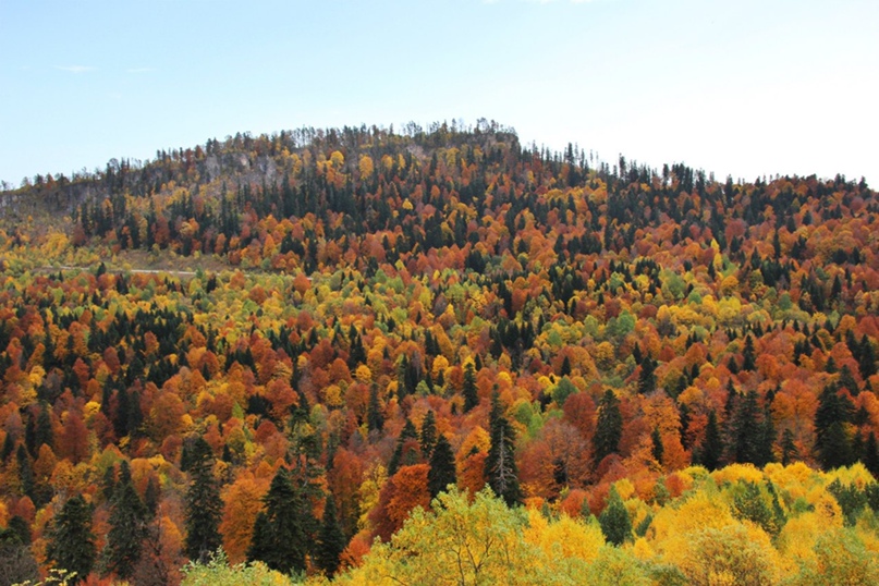 Татьяна Тараненко | Ростов-на-Дону