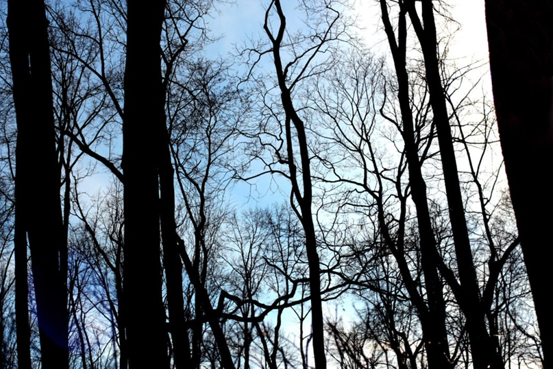 Андрей Гусейнов | Санкт-Петербург