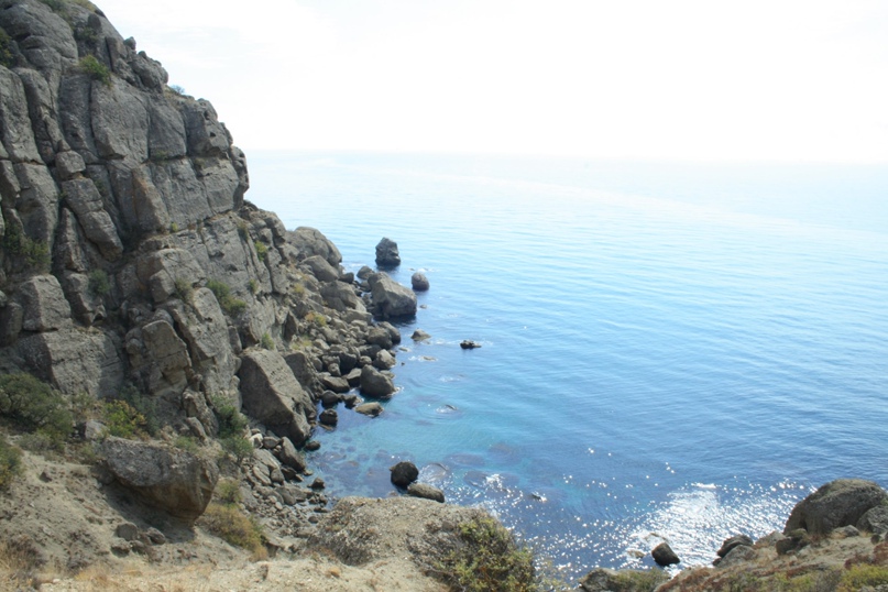 Елена Мядзель | Санкт-Петербург