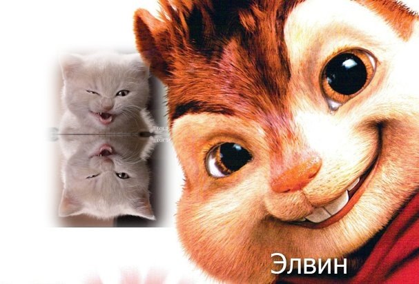 Виктория Степанова | Опочка