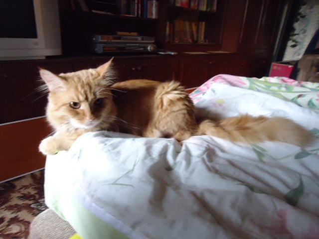 Надежда Шеина Константиновна | Липецк