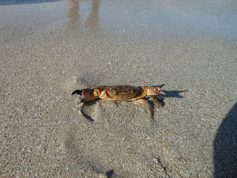 Igor Kovalev | Калуга