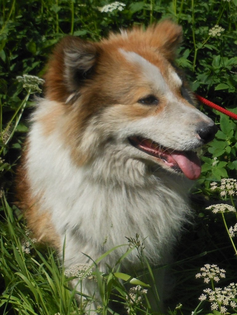 Александра Сидорская | Санкт-Петербург