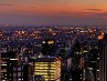 Ксения Нефедова | Болотное