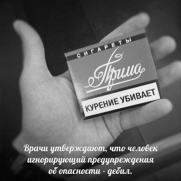 Дмитрий Кравцов | Мелитополь