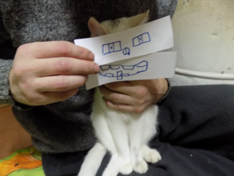 Евгений Иванов | Кварцитный