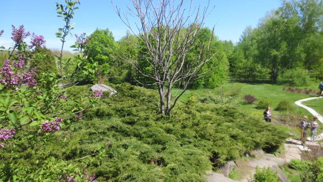 Юлия Кравченко | Кривой Рог