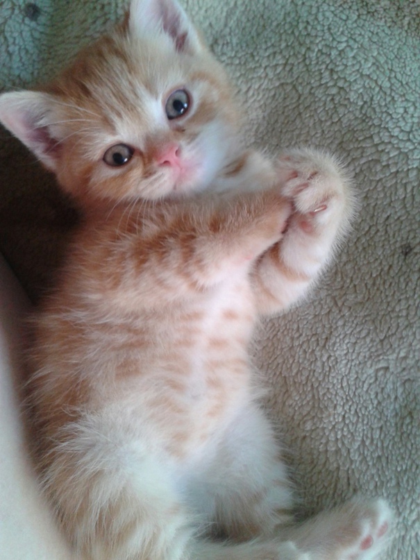 Евгения Оганезова | Москва