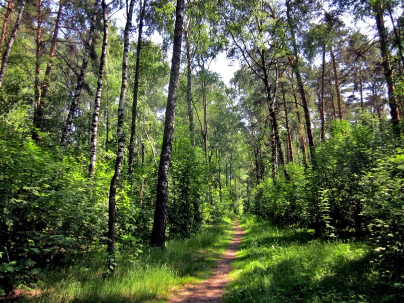 Василий Воробьев | Старая Купавна