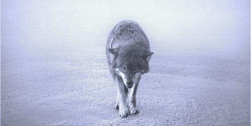 Алексей Лобода |