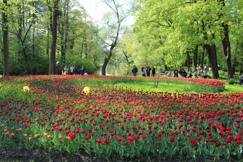 Раиса Архипова | Санкт-Петербург