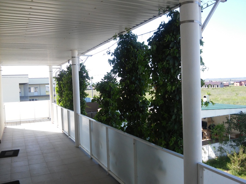 Ольга Павловская | Санкт-Петербург