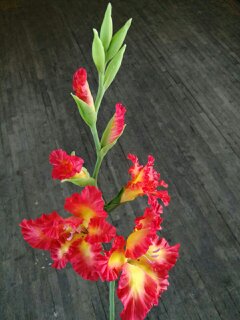 Зоя Доникова | Москва