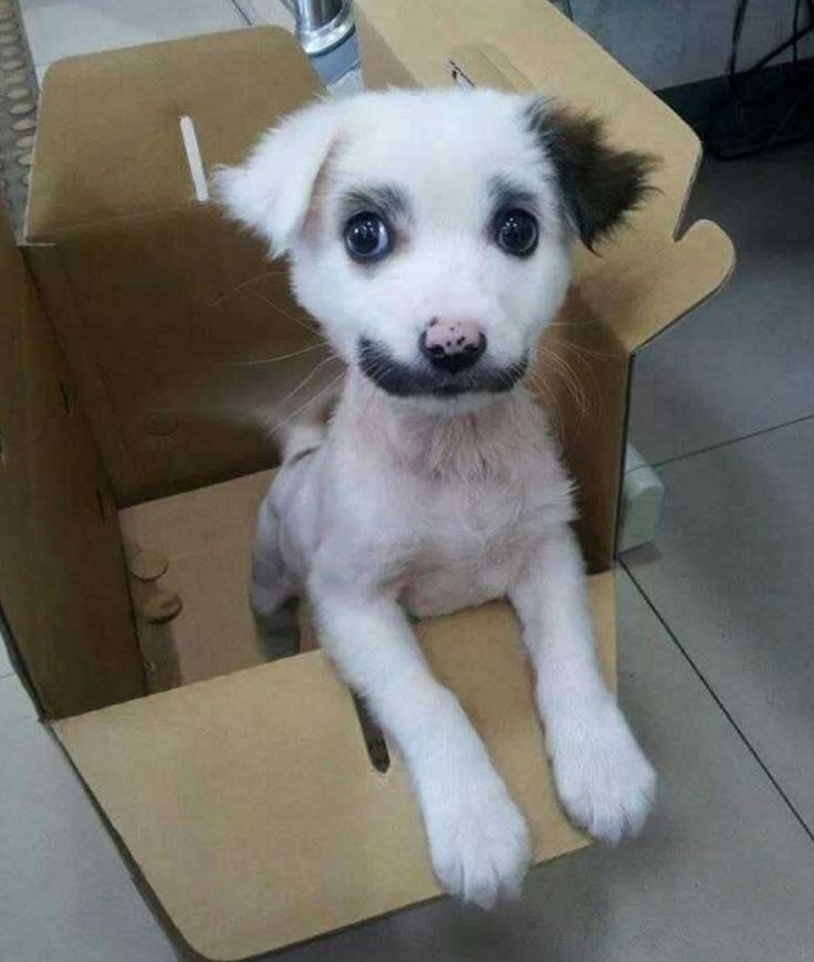 Вячеслав Глущенко | Борислав