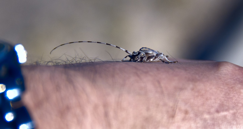 Дмитрий Волков | Санкт-Петербург
